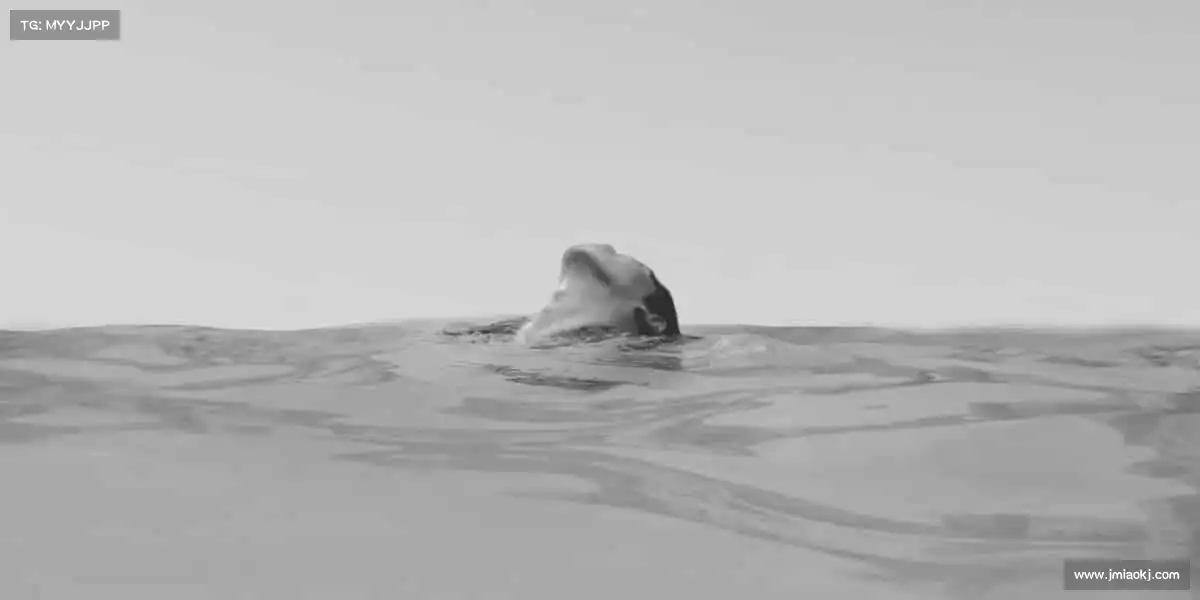 <strong>beats365</strong>🏂驰骋赛场，做自己的冠军！