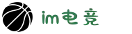 IM(股份有限公司)电竞-电子竞技平台